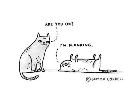 HEALTH: PLANK CHALLENGE + RUTINAS DE EJERCICIO SALUDABLE HEALTH: PLANK CHALLENGE + RUTINAS DE EJERCICIO SALUDABLE