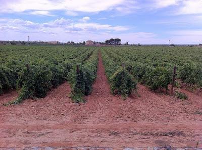 Bobos Tinto Crianza 2013, de Bodegas Hispano - Suizas Bobos Tinto Crianza 2013, de Bodegas Hispano - Suizas