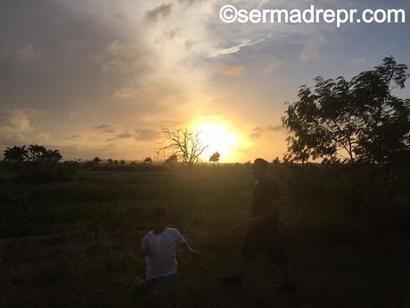 Estás buscando la felicidad en el lugar equivocado Estás buscando la felicidad en el lugar equivocado