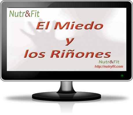 riñones