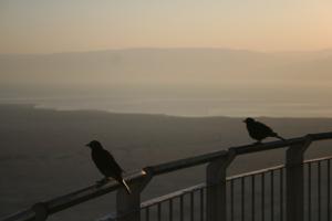 Amanecer en Masada IMG_5157