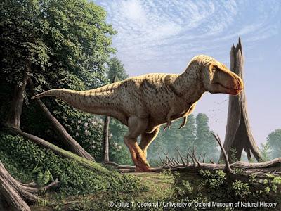 PALEOFICHA: Tyrannosaurus rex PALEOFICHA: Tyrannosaurus rex