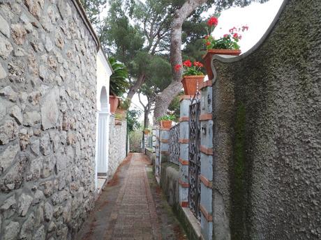 Capri, la isla eterna