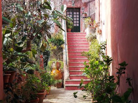 Capri, la isla eterna