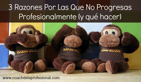 3 razones por las que no progresas profesionalmente (y qué hacer al respecto) 3 monitos