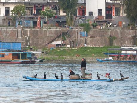 China tradicional con la pesca con cormorán