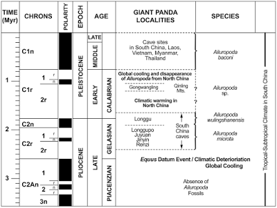 La identidad del panda