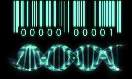 Big data: el problema del almacenamiento de nuestros datos genéticos