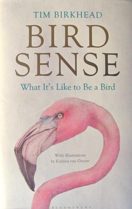 Reseña: “Bird sense: What it’s like to be a bird”