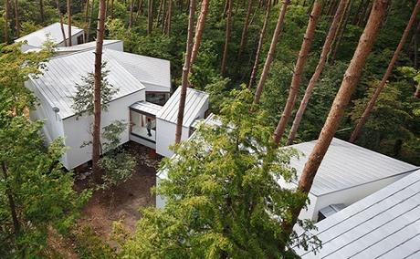 Coexistir con el bosque Residence of Daisen TECNNE