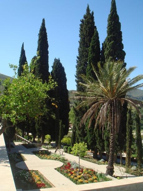 EL GENERALIFE CHICO EL GENERALIFE CHICO