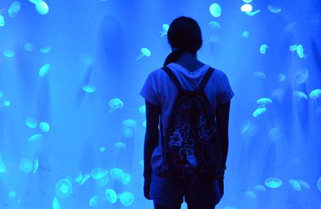 I-Drive 360 SEA LIFE Orlando