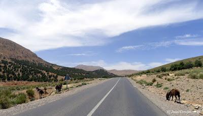 Grandes Rutas: Murcia/Marruecos 2015 (23ª etapa) Grandes Rutas: Murcia/Marruecos 2015 (23ª etapa)