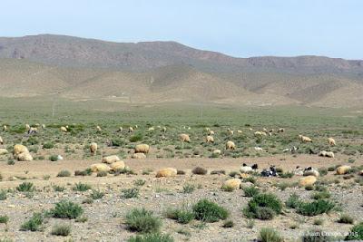 Grandes Rutas: Murcia/Marruecos 2015 (23ª etapa) Grandes Rutas: Murcia/Marruecos 2015 (23ª etapa)