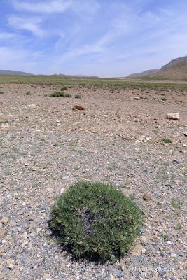 Grandes Rutas: Murcia/Marruecos 2015 (23ª etapa) Grandes Rutas: Murcia/Marruecos 2015 (23ª etapa)