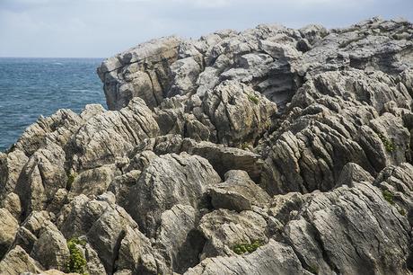 Senda costera: De Cabo Mayor a la Virgen del Mar Senda costera de Santander