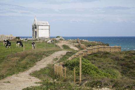 Senda costera: De Cabo Mayor a la Virgen del Mar Senda costera de Santander