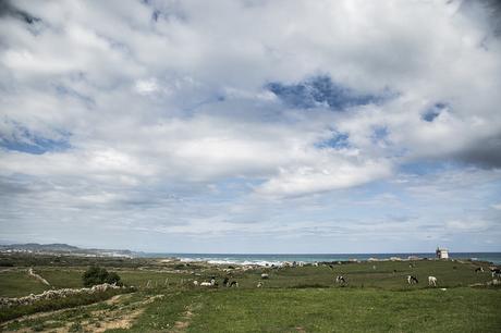 Senda costera: De Cabo Mayor a la Virgen del Mar Senda costera de Santander