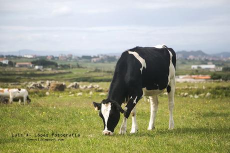 Senda costera: De Cabo Mayor a la Virgen del Mar Senda costera de Santander