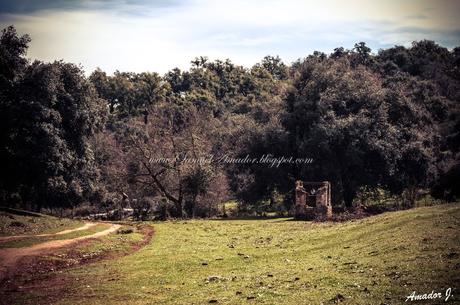 EL CERRO DEL HIERRO (SEVILLA): SENDERO EL REBOLLAR