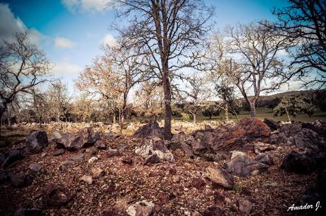 EL CERRO DEL HIERRO (SEVILLA): SENDERO EL REBOLLAR