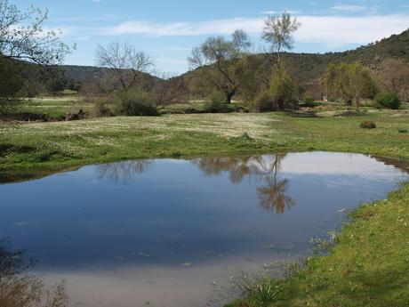 Mapa para llegar al Estrecho de las Hoces del Guadiana y tabla de la Murciana en Arroba de los Montes.