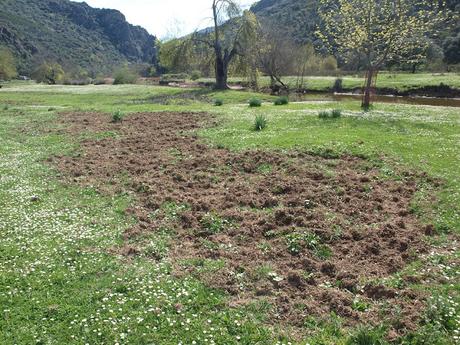 Mapa para llegar al Estrecho de las Hoces del Guadiana y tabla de la Murciana en Arroba de los Montes.