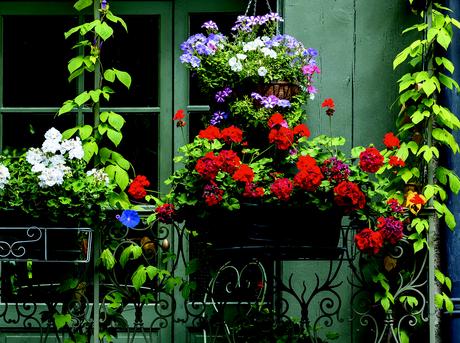 3 Reglas Claves en la Decoracion de Balcones Pequeños 3 Reglas Claves en la Decoracion de Balcones Pequeños