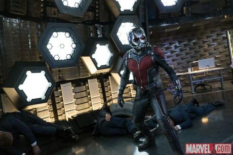 Lo que he visto esta semana – Ant-Man Ant-Man-paul-rudd-cincodays-com
