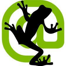 como usar screaming frog seo spider