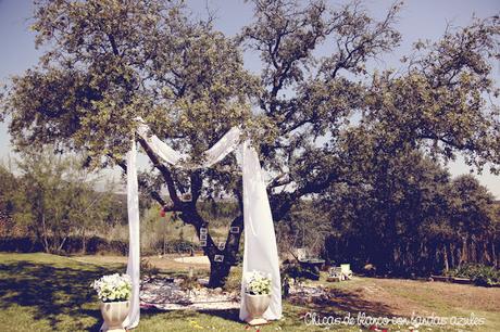 Boda en el jardín o El amor cuando ya no lo esperas. Primera parte