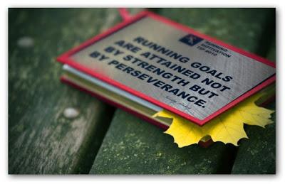 Mis objetivos para la temporada 2015 Mis objetivos para la temporada 2015