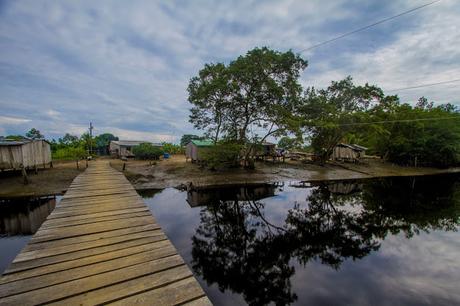 Reencuentro con el Pacífico Reencuentro con el Pacífico