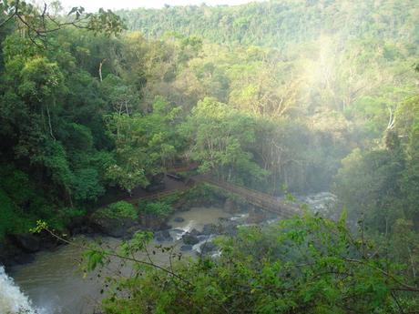 Parque Provincial Yatay creado para preservar los ecosistemas misioneros lindantes con las Cataratas del Iguazú.