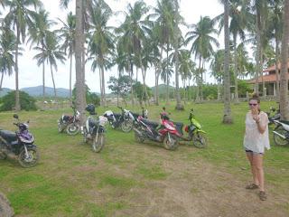 EL NIDO EL NIDO