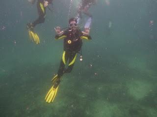 EL NIDO EL NIDO