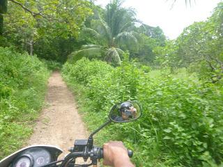 EL NIDO EL NIDO