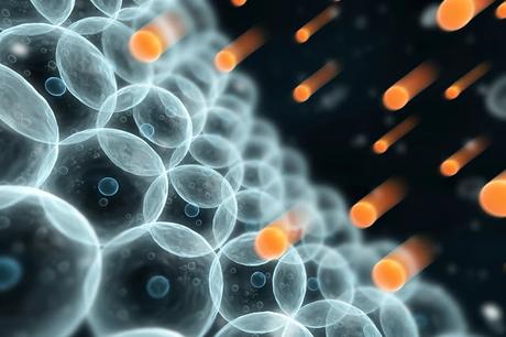 7 consejos para ganar la batalla a los radicales libres radicales libres