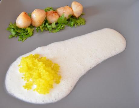 VIEIRAS CON SALSA DE PEPINO Y PERLAS DE YUZU VIEIRAS CON SALSA DE PEPINO Y PERLAS DE YUZU