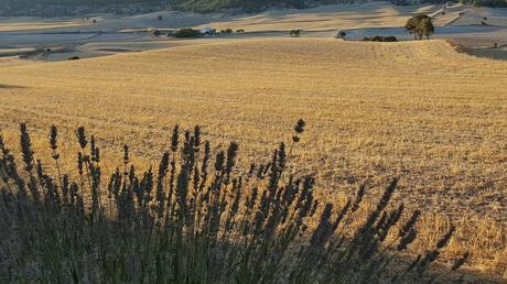 Mi escapada de Verano!! Mi escapada de Verano!!