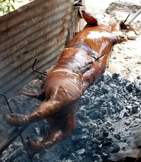 Viaje a cuba. Crónica de una ida y una vuelta (I) Cerdo a la pua variante 1