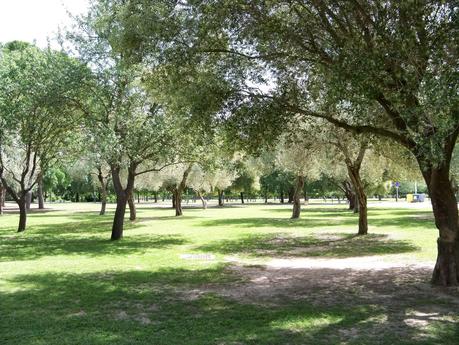 Margarit. Vínculos...