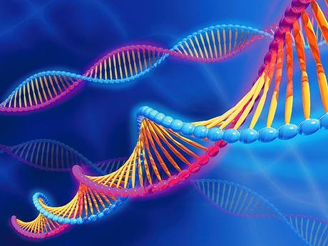 Neurociencias Aplicadas: ¿Existe el Libre Albedrío en Nuestras Decisiones? Neurociencias Aplicadas: ¿Existe el Libre Albedrío en Nuestras Decisiones?