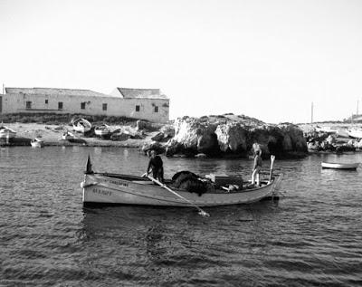 Nueva Tabarca, una isla en invierno