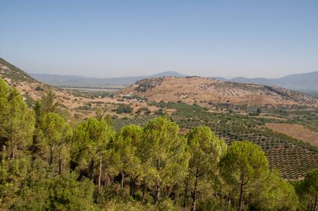 Al fondo puede verse Éfeso, éste es el paisaje que la rodea. Foto: Sara Gordón