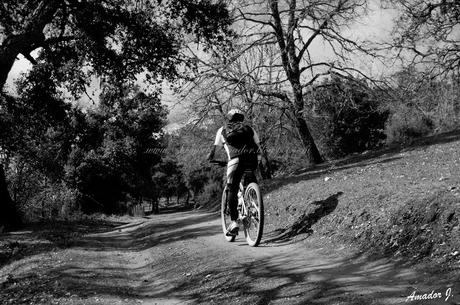 EL CERRO DEL HIERRO: SENDERO EL REBOLLAR (BLANCO/NEGRO)