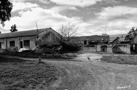 EL CERRO DEL HIERRO: SENDERO EL REBOLLAR (BLANCO/NEGRO)