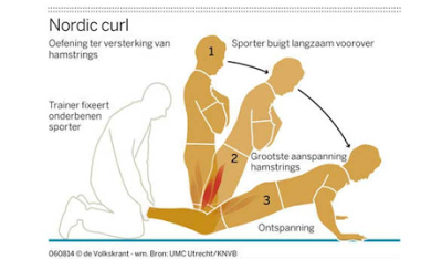 Los músculos del corredor: Isquiotibiales Los músculos del corredor: Isquiotibiales
