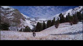 EL JINETE PÁLIDO EL JINETE PÁLIDO