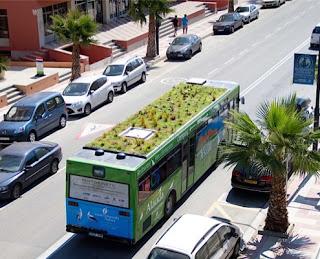 Techos verdes para los buses